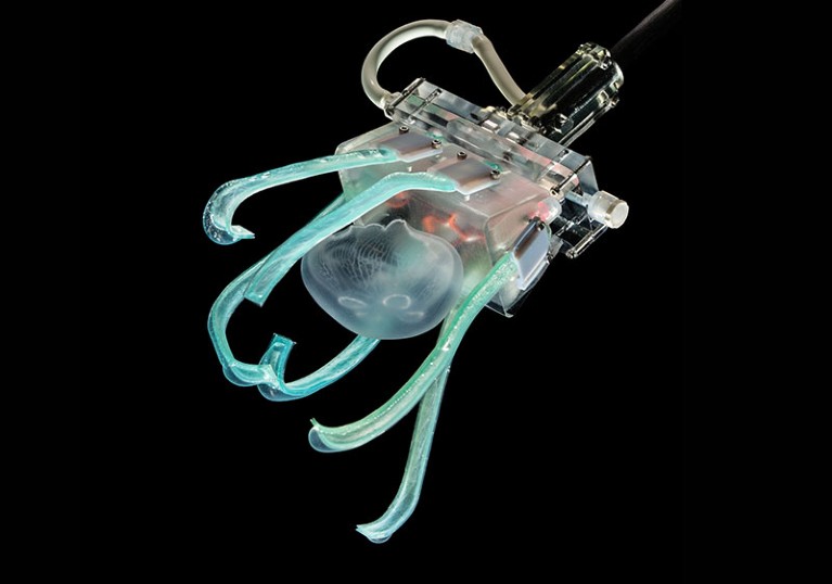 Ultra-gentle robot and jellyfish