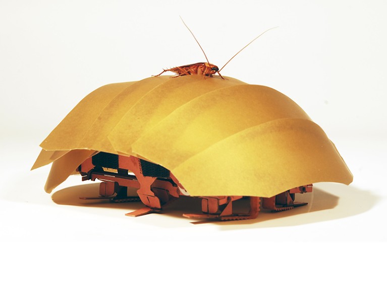 A cockroach is pictured on top of a Compressible Robot with Articulated Mechanisms