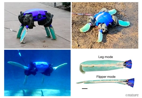 3张图片显示了一个蓝色的机器人站着，蹲着和游泳。第4张图片显示了它的附属物“腿”和“鳍”模式。