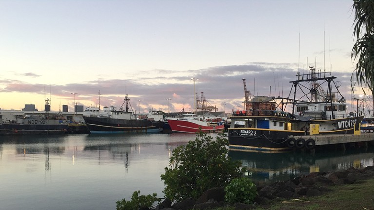 Longline fishing boats lined up at Honolulu harbour in Hawaii.