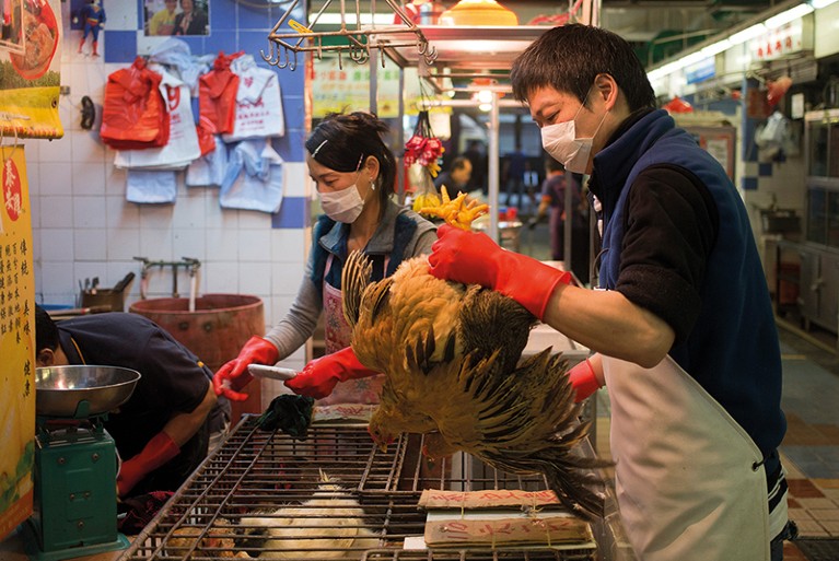 A Chinese male and female wearing face masks working in a wildlife market.