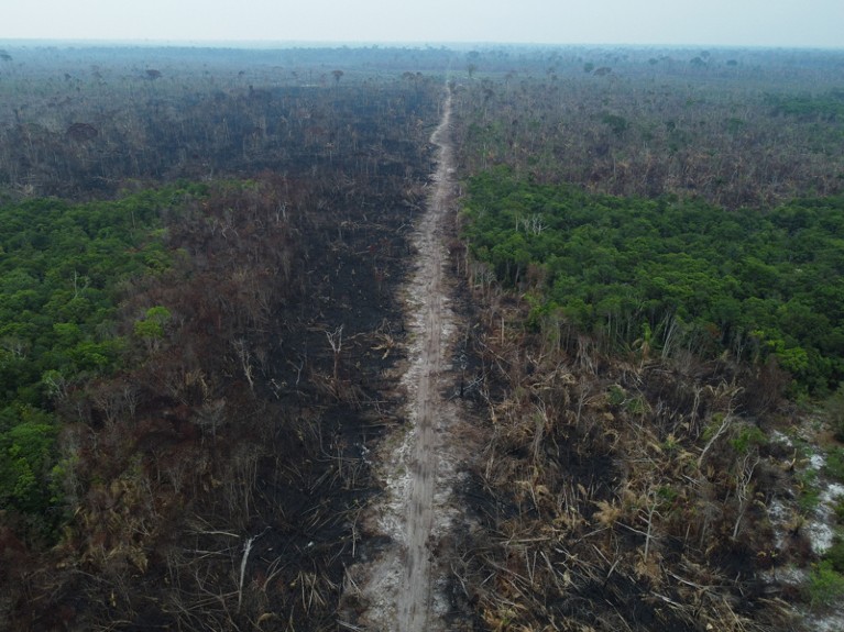 Aerial view of a deforested and burnt area of forest in Brazil