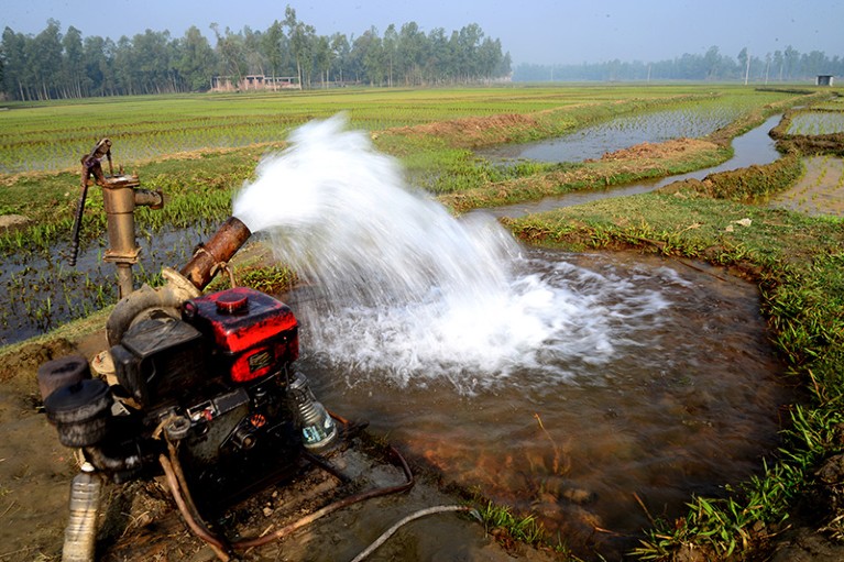 Irrigation by a deep tube well floods the transplanted rice seedlings field in Jamalpur District, Bangladesh, in 2020.