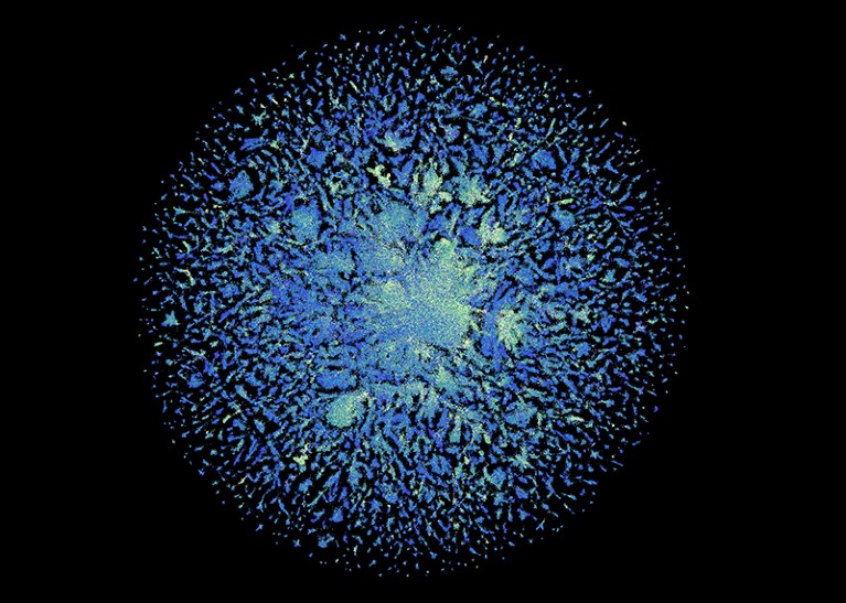 Exploring 1 million out of 617M proteins on the ESM Metagenomic Atlas website.