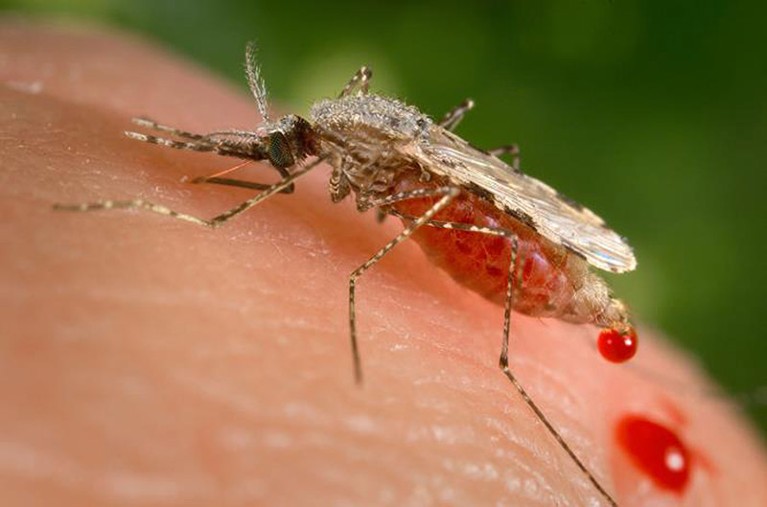 Against Malaria