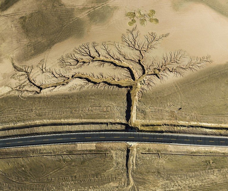 On either side of a highway, gullies formed by rainwater erosion span out like a tree in Tibet.