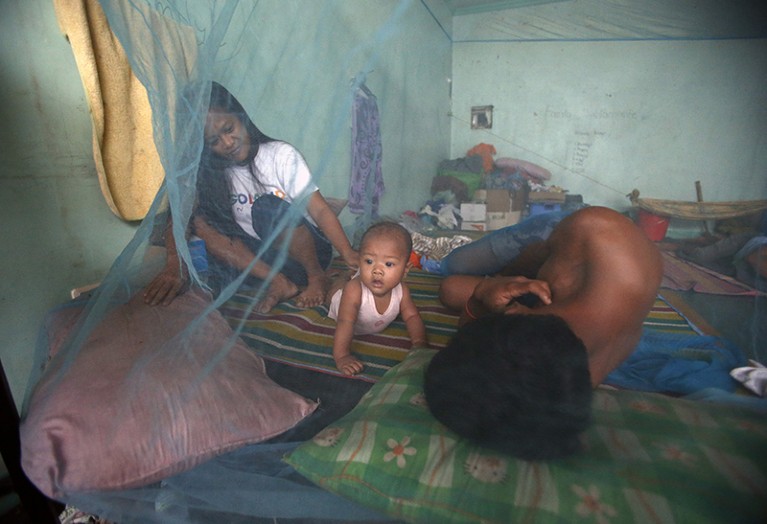 A family rests inside a mosquito net at an evacuation centre.