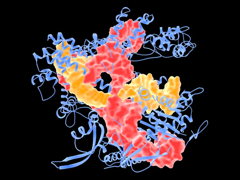 Molecular model of the CRISPR-CAS9 gene editing complex in red, yellow and blue