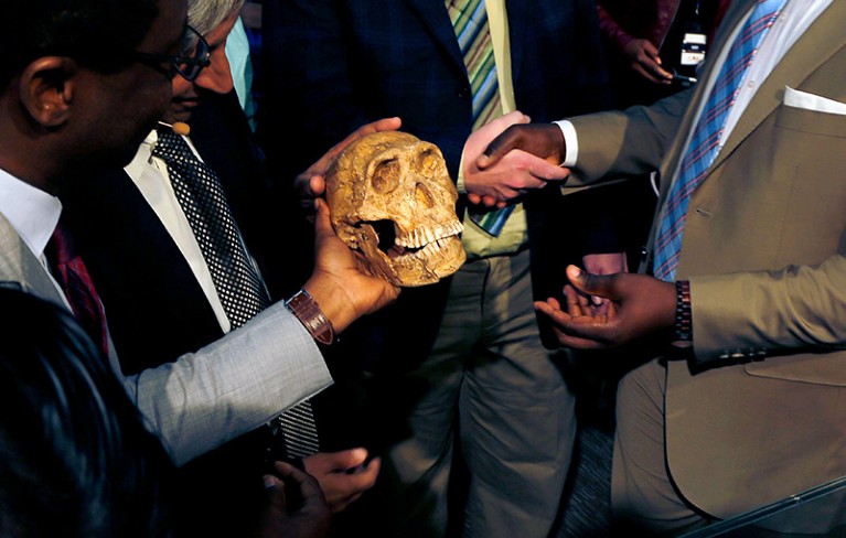 A replica skull of a species belonging to the human family tree is held by multiple people at the Maropeng Museum, South Africa.