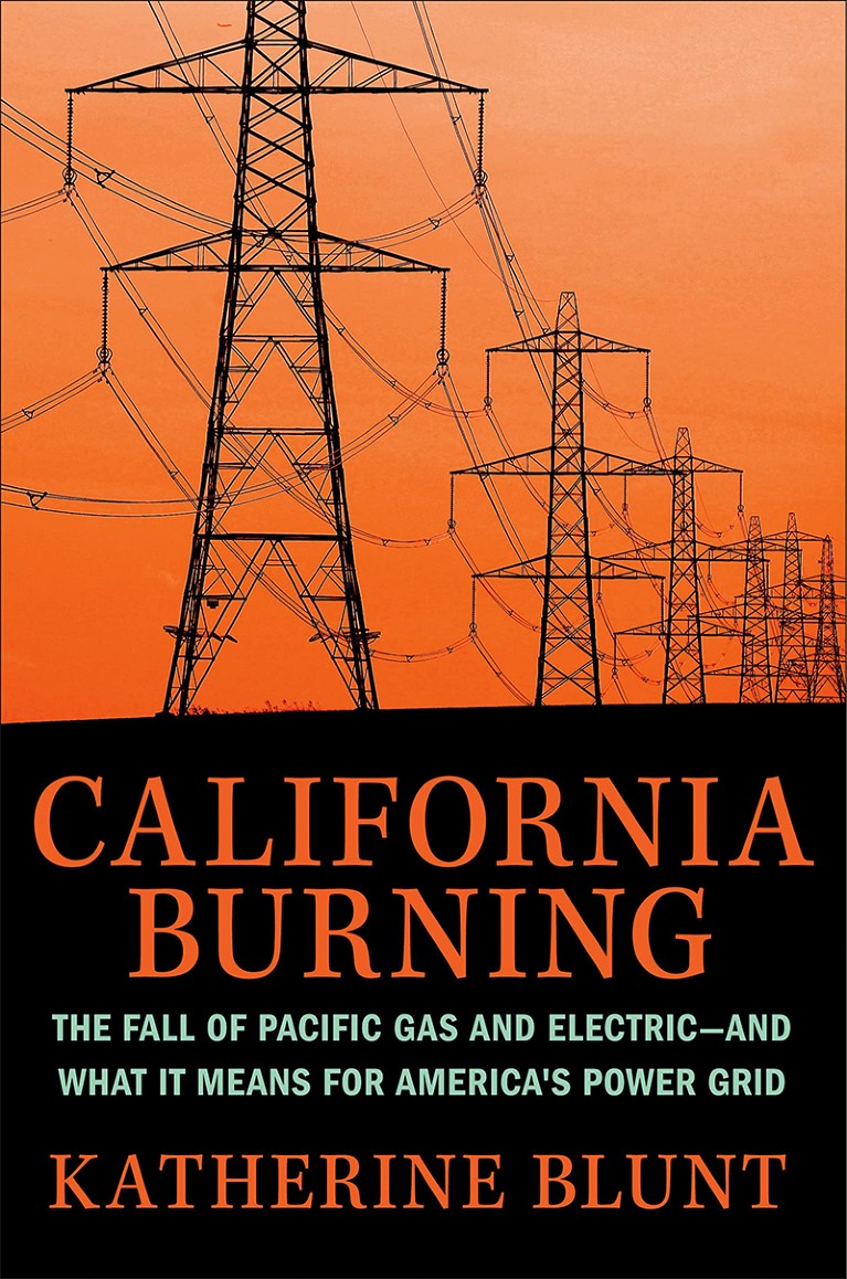 Book cover of California Burning
