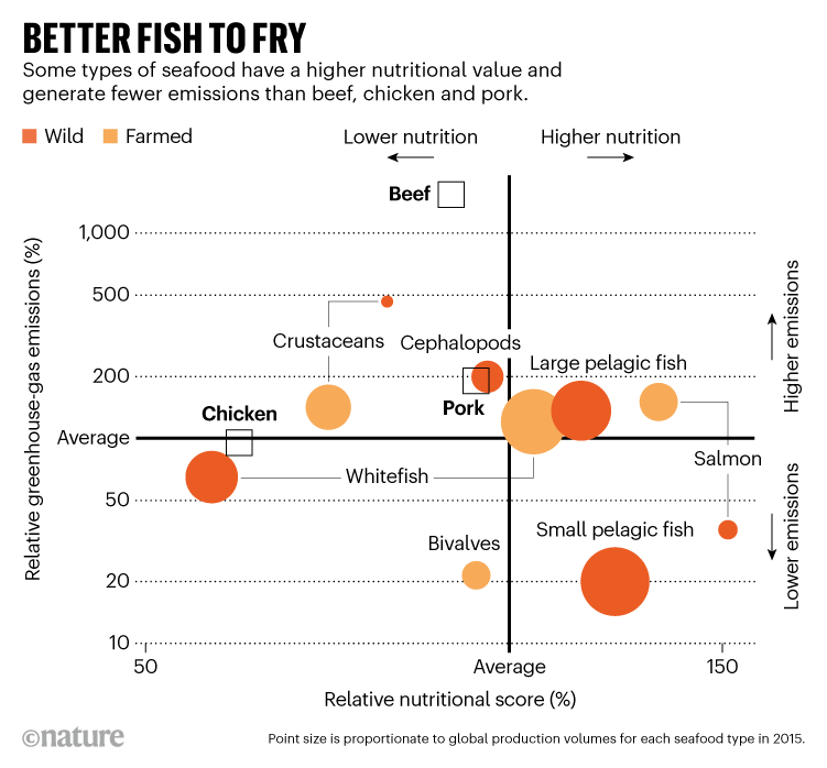 BESSERER FISCH ZUM BRATEN.  Grafik, die zeigt, dass einige Meeresfrüchte einen höheren Nährwert haben und weniger Emissionen erzeugen als Fleisch.