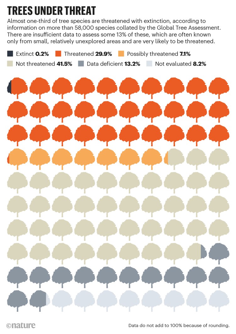 BEDROHTE BÄUME: Grafik, die den Prozentsatz der Baumarten von ausgestorben bis nicht bedroht zeigt