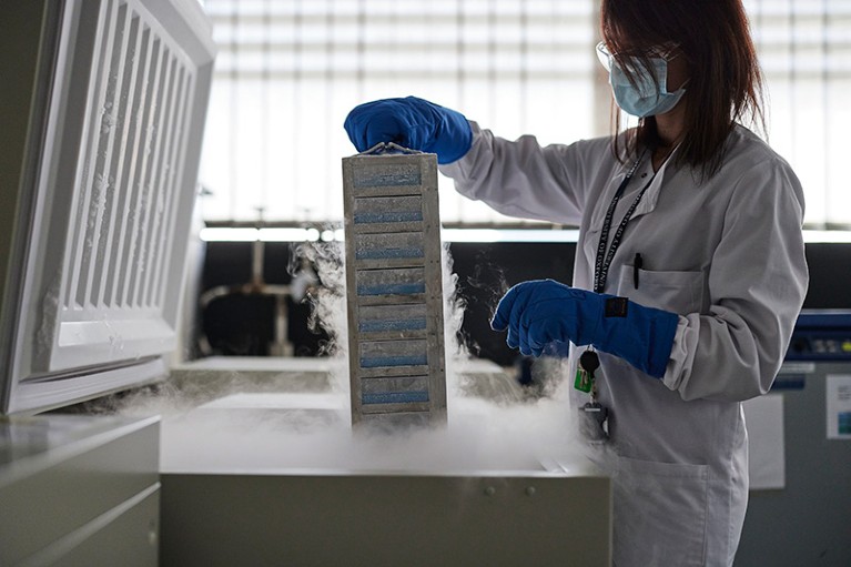 A research scientist is freezing white blood cells extracted from blood samples taken from Covid vaccine trial volunteers