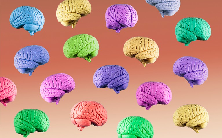 Blue, green, yellow, purple and orange human brains floating in mid air on gradated brown background.