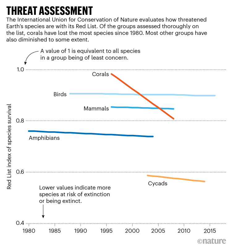 Threat Assessment: Groups of animals and plants are shown on the Red List index of species survival from 1980 to 2015.