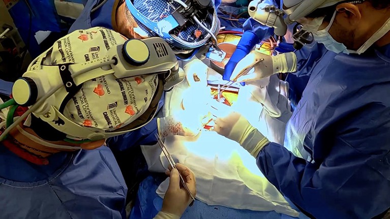 Surgeons conducting the first pig to human heart transplant, Baltimore, Maryland, USA - 07 Jan 2022