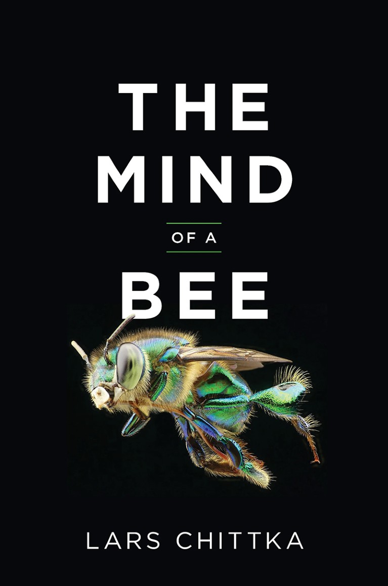 The Mind of a Bee book cover.