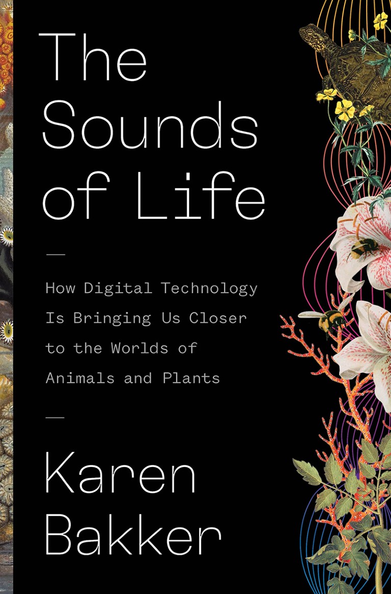 The Sounds of Life book cover.