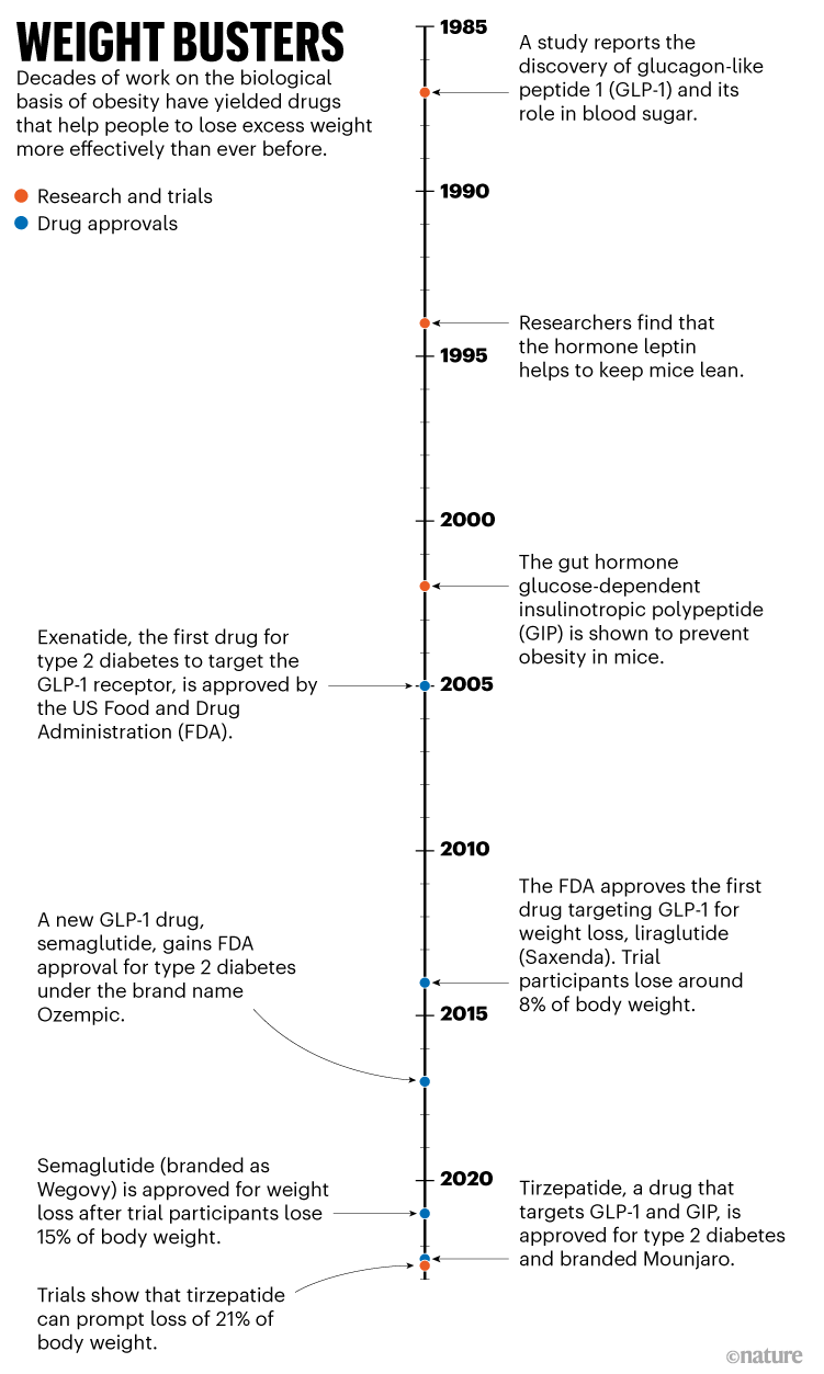 Weight busters. A timeline of the key obesity drugs developments.