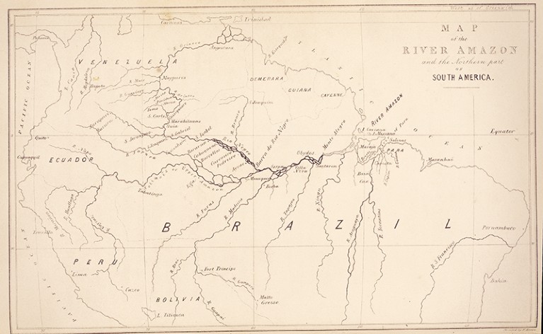 Map of the River Amazon and the northern part of South America (1853) by Alfred R. Wallace.