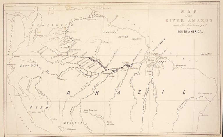 Escaping Darwin’s shadow: how Alfred Russel Wallace inspires Indigenous ...