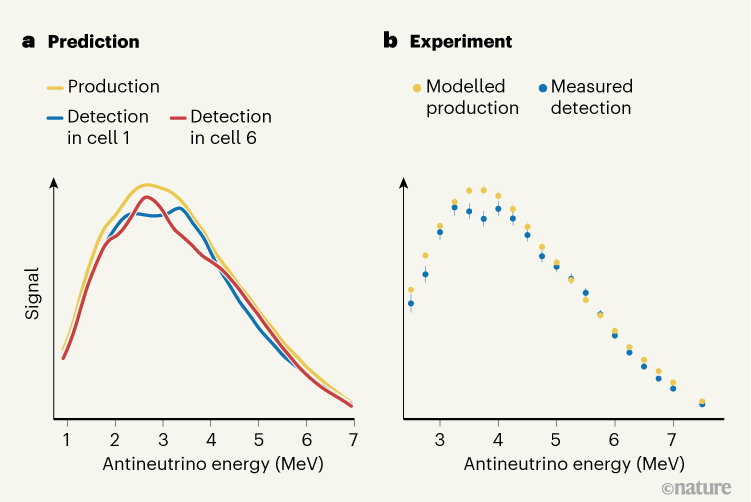 nuclear-reaction-rules-out-sterile-neutrino-hypothesis