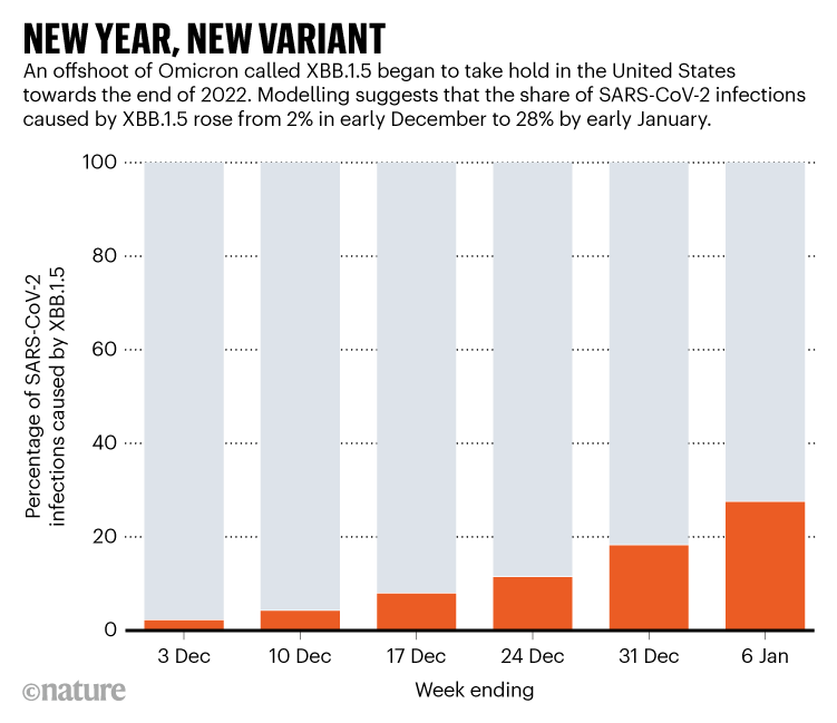 NEW YEAR, NEW VARIANT. Chart shows the rise in cases in the United States from the Omicron variant XBB.1.5.