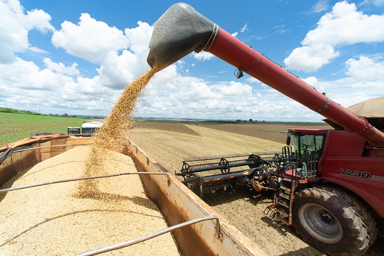 Soya beans are harvested with industrial equipment on a farm near Brasilia, Brazil