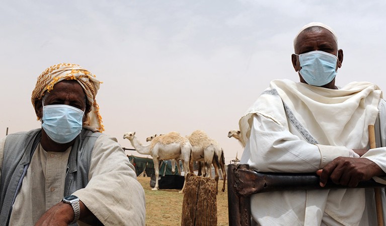 Two people wear face masks as they watch camels at their farm.