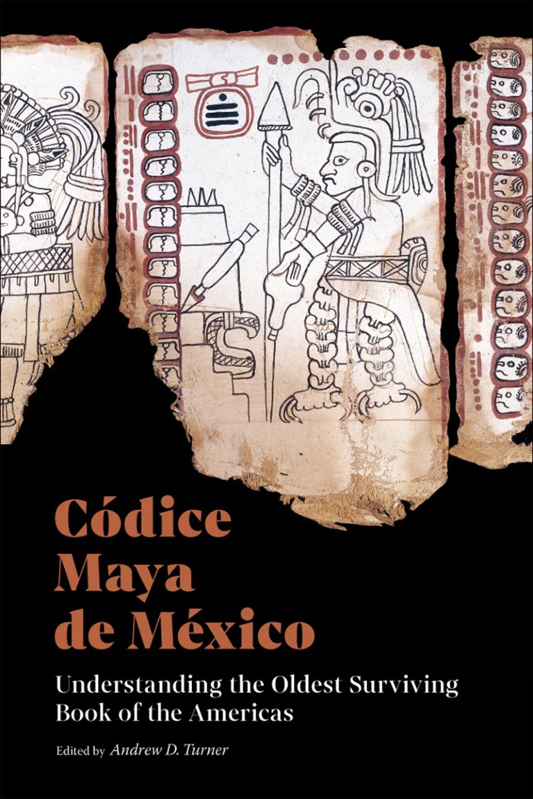 Códice Maya de México book cover.