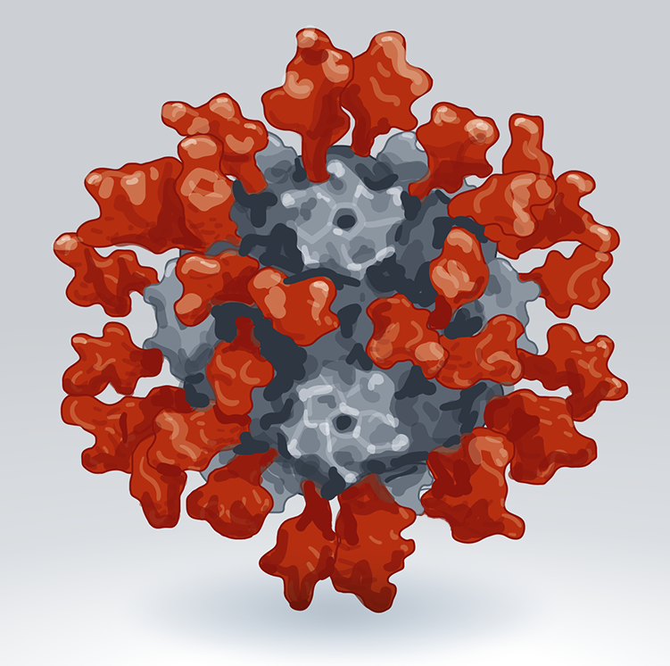 Illustration that shows a vaccine nanoparticle approved by SK Biosciences.