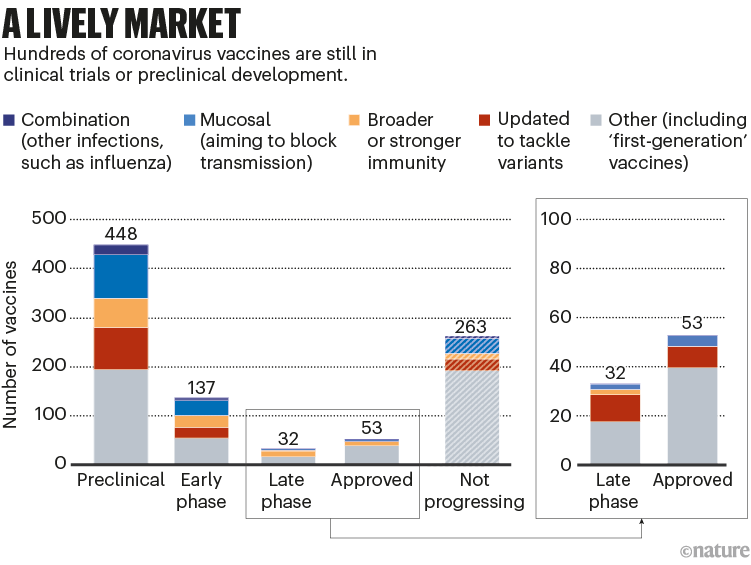 A lively market: a graph that shows the numbers and types of vaccines at different stages of development