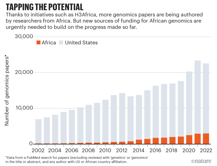 Tapping the potential. Stacked bar chart showing number of US and African genomic papers by year.
