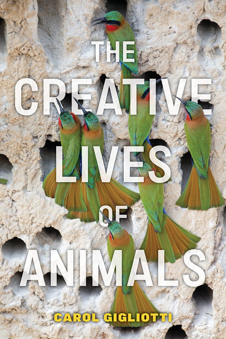 The Creative Lives of Animals book cover.