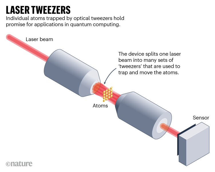 LASER TWEEZERS. Individual atoms trapped by optical tweezers hold promise for applications in quantum computing.