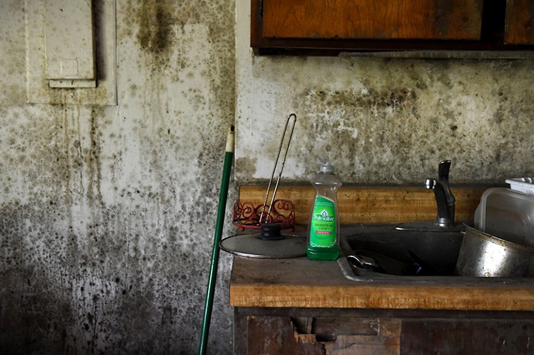 Mould on the walls of a kitchen.