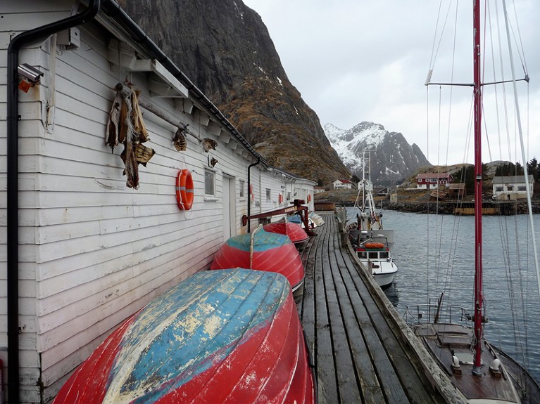 Interview site in Lofoten, a fishermen town in Norway.