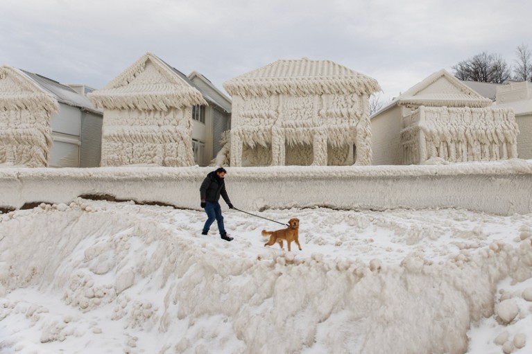 A man walks his golden retriever by homes completely covered in ice on a waterfront community in Canada