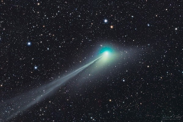 A photo of a comet streaking across a star-studded sky.