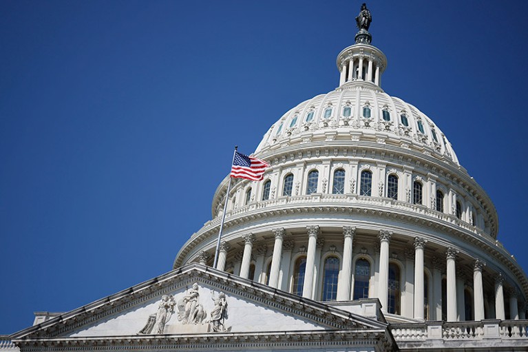 An American flag above the US Capitol building in Washington, D.C.