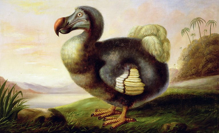Nineteenth century, landscape, oil painting of a large dodo in a scenic landscape.