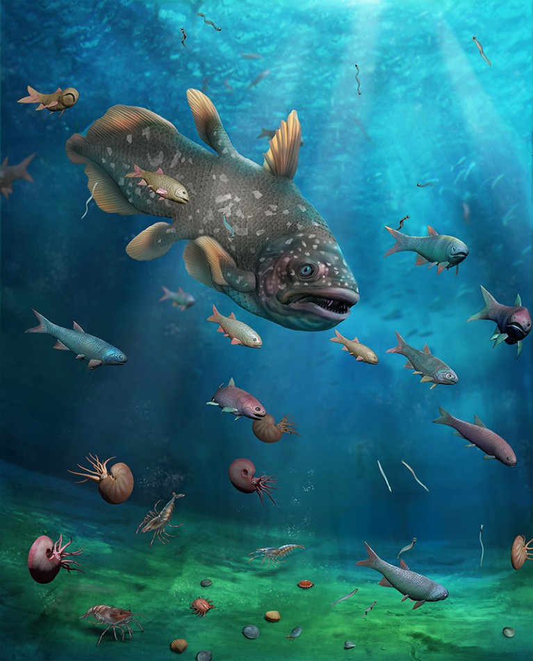 An artistic reconstruction showing an underwater scene with coelacanths and other marine life.