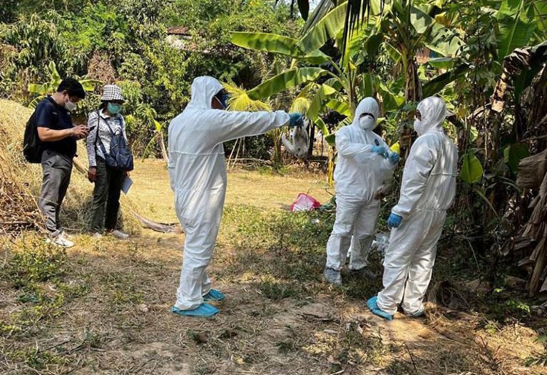 Health experts work during the spraying of disinfectant in a village in Cambodia's eastern province of Prey Veng, following deaths from bird flu. 