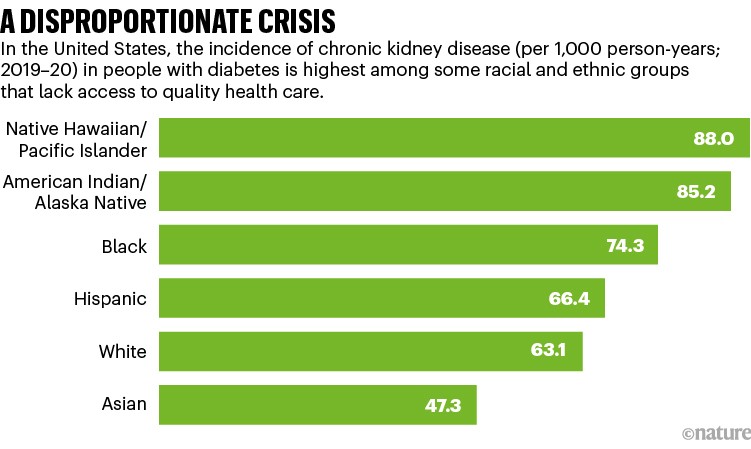 A disproportionat crisis: bar chart comparing incidence of chronic kidney disease in racial and ethnic groups