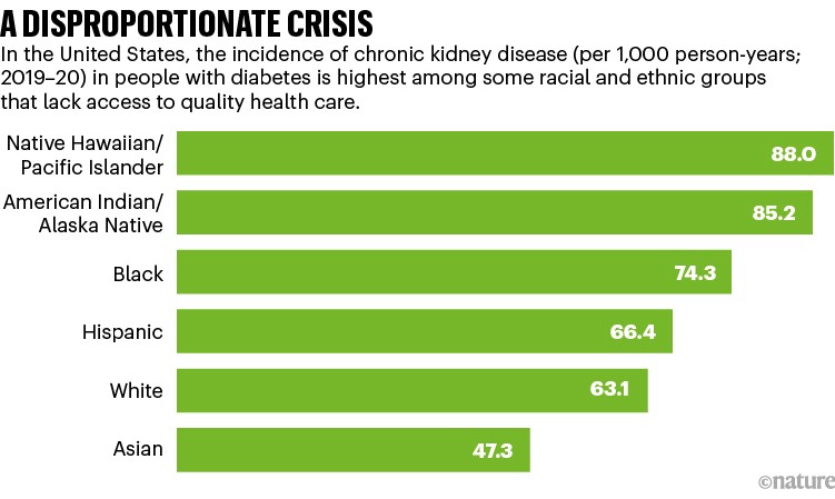 歧化危机:比较种族和民族群体中慢性肾脏疾病发病率的柱状图