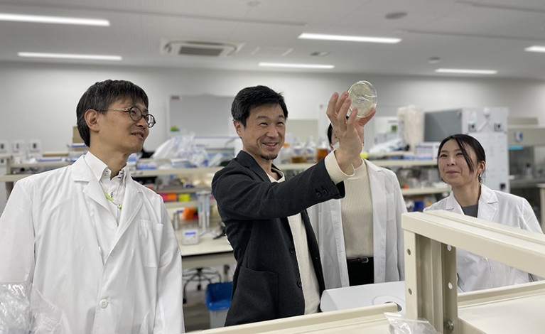 四个人在实验室的盘子里观察经过基因组编辑的微生物菌落