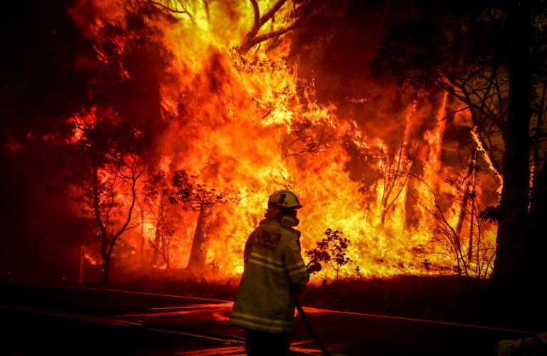 A firefighter stands in front of a bushfire at night