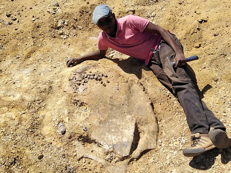 Khalafallah Salih digging turtle, Shendi Formation, Sudan.