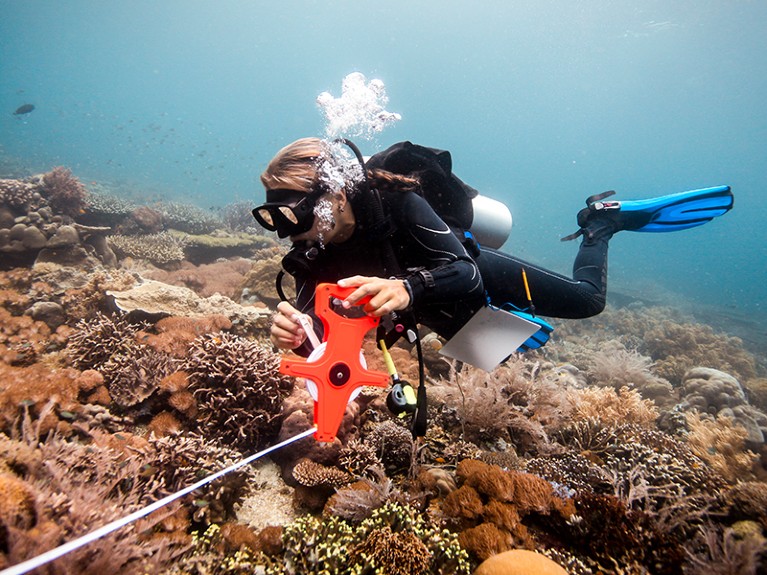 Female scuba diver conducts a scientific survey on a coral reef, Raja Ampat, West Papua, Indonesia.