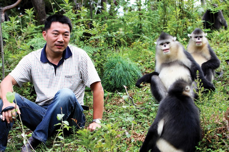 Zuofu Xiang sat on the ground interacting with snub nosed monkeys, Baimaxueshan Nature Reserve, Yunnan, China